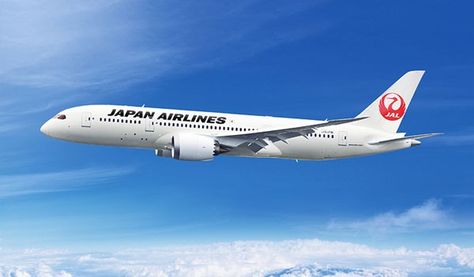 JAL Travel Bassinet, Boeing 787 8, Japan Airlines, Boeing 787 Dreamliner, Pram Liners, Boeing Aircraft, Boeing 767, Air Plane, Boeing 787