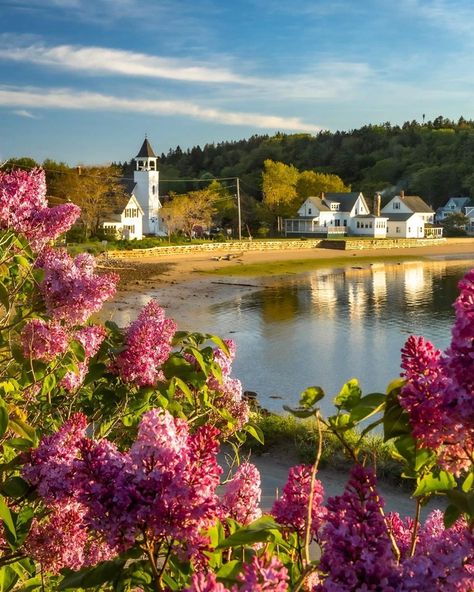 Popham Beach, Maine - Benjamin Williamson Photography Sea Bags, Poppy Flower, Maine, Lilac, House Styles, Water, Flowers, Photography