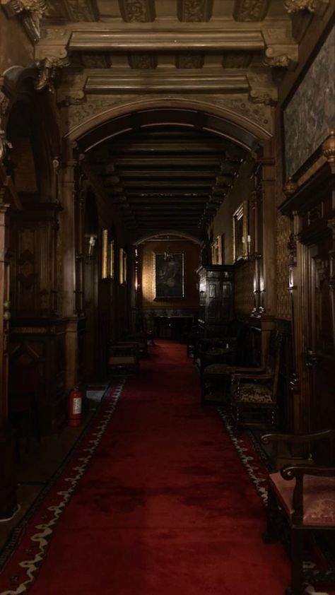 Academia House, Kino Box, Castle Aesthetic, Castles Interior, Have Inspiration, Dark Academia Aesthetic, Academia Aesthetic, Gothic House, House Inspo