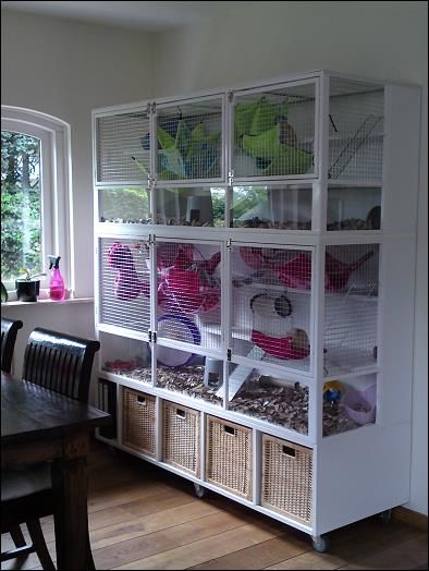 GREAT rat cage idea!! Boy do I wish I had a bigger house so I could give my rats a bigger house ! Come on lottery...ratties need a bigger house ! Ferret Diy, Rattus Rattus, Sugar Glider Cage, Cage Hamster, Chinchilla Cage, Baby Pets, Ferret Cage, Guinea Pig House, Rat Cage