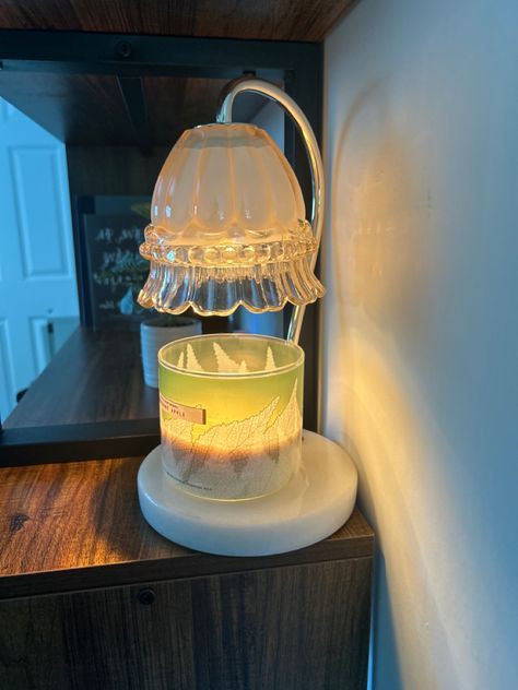 Wax Melter Aesthetic, Flower Candle Warmer, Candle Warmer Aesthetic, Bunny Burrow, Redecorate Room, Gifts For Valentines Day, Pretty Candles, Candle Melter, Gifts For Valentines