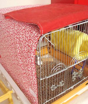 DIY Winter Birdcage Cover - PetDIYs.com                                                                                                                                                                                 More Parakeet Care, Diy Bird Cage, Diy Bird Toys, Bird Cage Covers, Diy Winter, Parrot Cage, Bird Care, Diy Birds, Parrot Toys