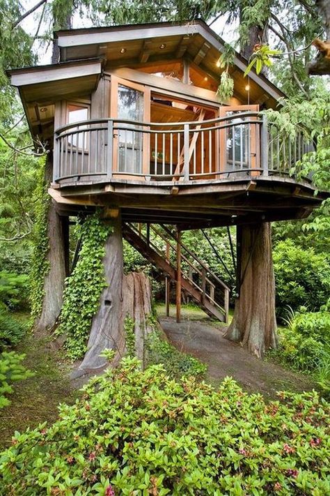 Design Casa Piccola, Luxury Tree Houses, Modern Tree House, Beautiful Tree Houses, Treehouse Masters, Building A Treehouse, Tree House Plans, Little Cabin In The Woods, Tree House Diy