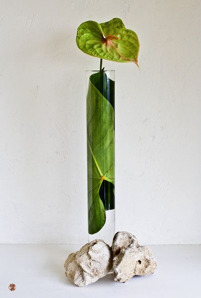 Leaf Weaving, Japanese Flower Arrangement, Ikebana Arrangement, Floral Sculpture, Ikebana Sogetsu, Contemporary Flower Arrangements, Sogetsu Ikebana, White Flower Arrangements, Unique Floral Arrangements