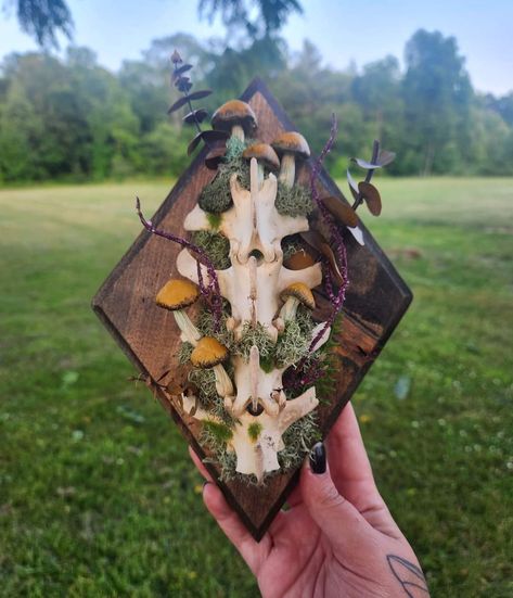 Animal Skull Decor, Oddities Decor, Taxidermy Decor, Skull Crafts, Taxidermy Art, Bone Crafts, Witchy Crafts, Bone Art, Witchy Decor