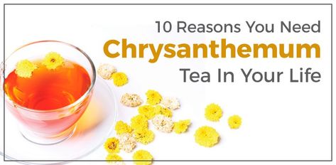 10 Health Benefits Of Chrysanthemum Tea | by Oksana Ostrovsky | Medium Chrysanthemum Tea Benefits, Chrysanthemum Tea, Tea Benefits, Chinese Medicine, Herbal Tea, Herbal Remedies, Chrysanthemum, Health Benefits, Healthy Living