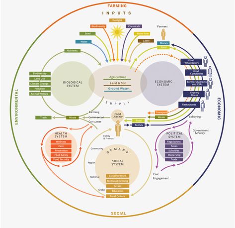 System Map, Data Visualization Design, Systems Thinking, Conceptual Understanding, Family Systems, Complex Systems, Food System, Global Education, Mental Training