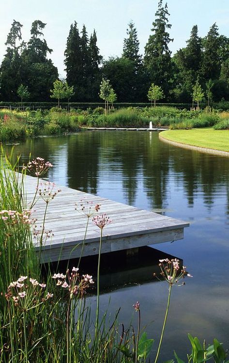 a large natural swimming pool with natural borders done with greenery and blooms and a wooden deck over this pool Country Garden Design, Farm Pond, Natural Swimming Ponds, Fountains Backyard, Floating Deck, Pond Landscaping, Backyard Water Feature, Swimming Pond, Natural Pond