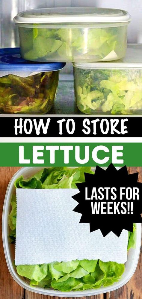 Make Produce Last Longer, How To Save Lettuce, Best Way To Keep Lettuce Fresh, How To Keep Lettuce Fresh, How To Store Lettuce, Lettuce Ideas, Freezing Cucumbers, Lettuce Varieties, Storing Lettuce