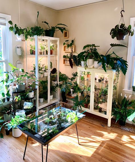 Ikea Milsbo, Window Plant Shelf, Dream House Aesthetic, Backyard Garden Diy, Plant Party, Plant Room, Indoor Greenhouse, Plant Care Houseplant, House Organisation