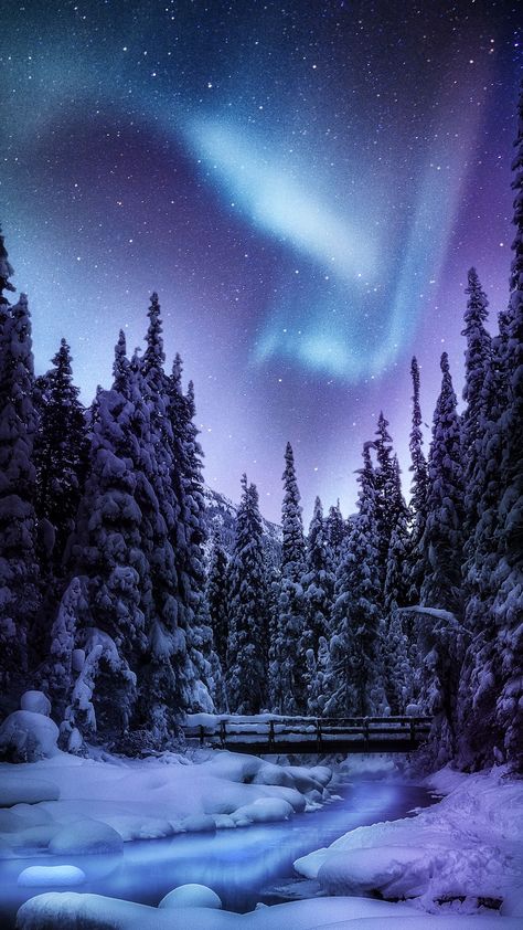 Winter Northern Lights, Northern Lights Wallpaper, Lights Trees, River Bridge, Aurora Borealis Northern Lights, Winter Wallpaper, Winter Scenery, 4k Wallpaper, Beautiful Landscape Wallpaper