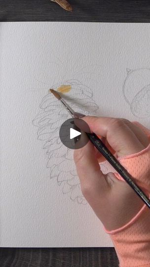 253K views · 4K reactions | Watercolor Pinecone 🌲 Full demo coming out this weekend 🧡🍁 | Anna Bucciarelli Studio | James Quinn · Dreamer's Path Watercolor Pinecones Tutorial, Watercolor Pinecone, How To Paint Watercolor Pinecones, How To Paint Pine Cones Acrylic, Pine Cone Watercolor Paintings, Pinecone Watercolor Paintings, Autumn Watercolor Tutorial Videos, Watercolour Hedgehog Watercolor Painting, Water Color Pencil