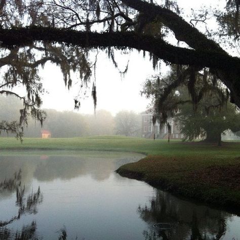 Drayton Hall Circa 1738 - Charleston SC | Content in a Cottage Drayton Hall Charleston Sc, Charleston North Carolina, Drayton Hall, Redwood Tree, Spanish Moss, History Class, Classical Architecture, Low Country, Down South