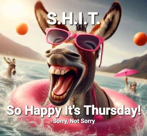 Funny Good Morning Messages, Good Morning Animals, Funny Good Morning, Thursday Humor, It's Thursday, Happy Day Quotes, Funny Day Quotes, Good Morning My Friend, Morning Memes