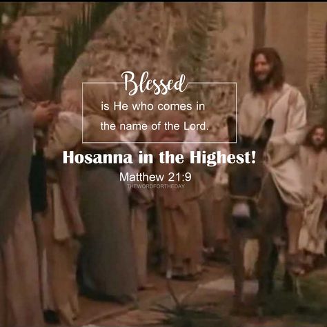 palm sunday, Matthew 21:9, the word for the day quote Palm Sunday Quotes Jesus, Palm Sunday Quotes, Sunday Bible Verse, Happy Palm Sunday, Word For The Day, Hosanna In The Highest, Happy Birthday Icons, I Am His, Hope In Jesus