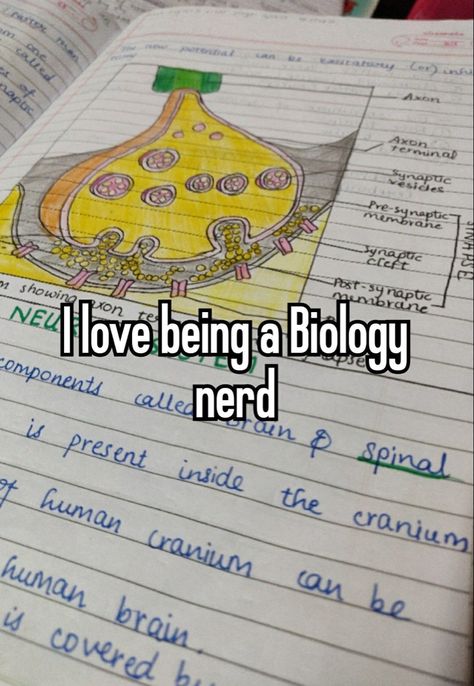 Study Motivation Biology, Science Study Motivation, Study Place Aesthetic, Human Biology Aesthetic, Studying Biology Aesthetic, Biology Study Aesthetic, How To Study Biology, Biology Motivation, Biology Student Aesthetic