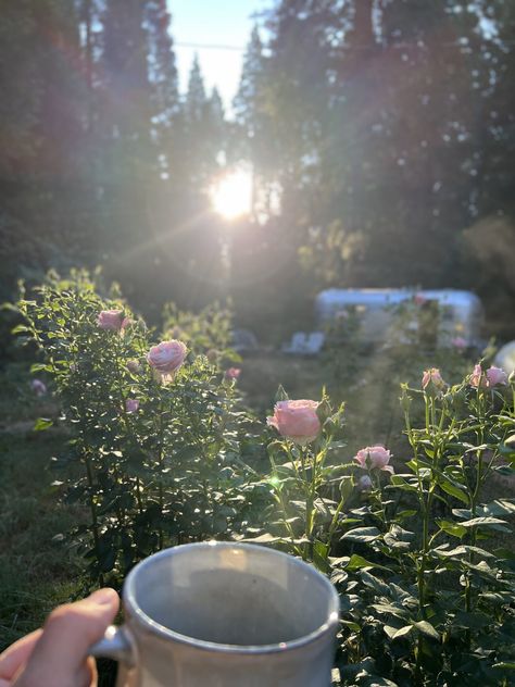 Nature, Business Shooting, Farmhouse Flowers, Cottagecore Garden, Summer Living, French Country Cottage, Slow Life, Slow Living, Future Life