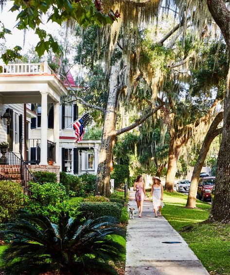 Charleston Aesthetic, Southern Aesthetic, Diamondback Rattlesnake, South Carolina Vacation, Beaufort South Carolina, Girlfriends Getaway, Best Girlfriend, Palmetto State, Southern Life