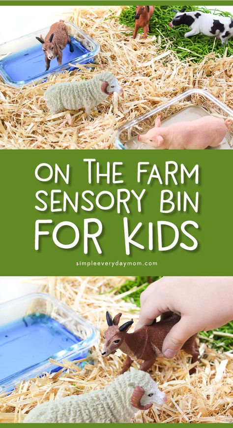 Farm Animal Sensory Bin, Animal Sensory Bin, Abordagem Reggio Emilia, Preschool Farm Theme, Farm Sensory, Farm Sensory Bin, Preschool Farm, Farm Animals Preschool, Farm Lessons