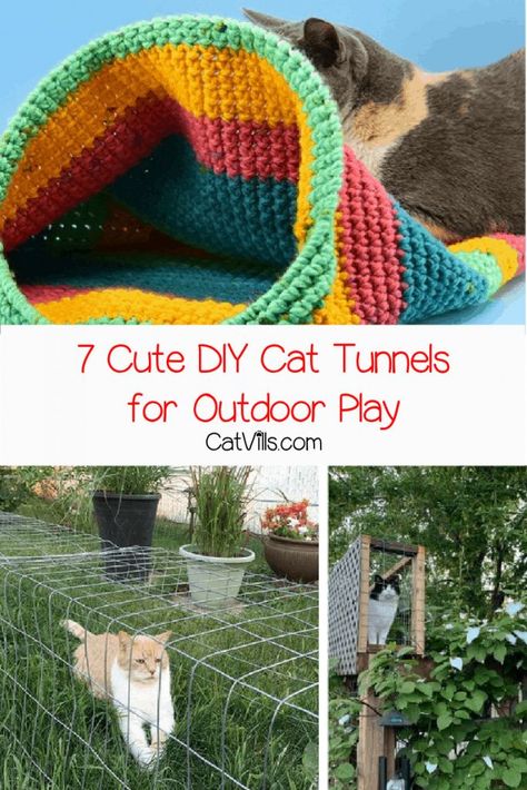 Diy Cat Tunnel, Cat Furniture Diy Homemade, Cat Perch Diy, Cat Tunnel Diy, Cat Tunnel Indoor, Outdoor Cat Tunnel, Catio Ideas, Cat Patio, Diy Cat Tree