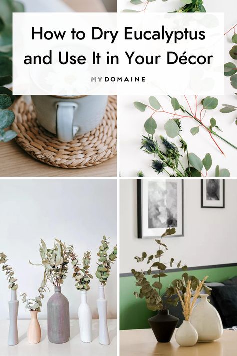 Eucalyptus is perfect for bringing in greenery and brightening up your home. #Eucalyptus #HomeDecor #InteriorDesign #MyDomaine Decorate With Eucalyptus Branches, Vase Of Eucalyptus, Decorating With Eucalyptus Branches, How To Dry Eucalyptus Branches, Drying Eucalyptus, Dried Eucalyptus Decor, Decorating With Eucalyptus, Eucalyptus Bathroom, Dry Eucalyptus