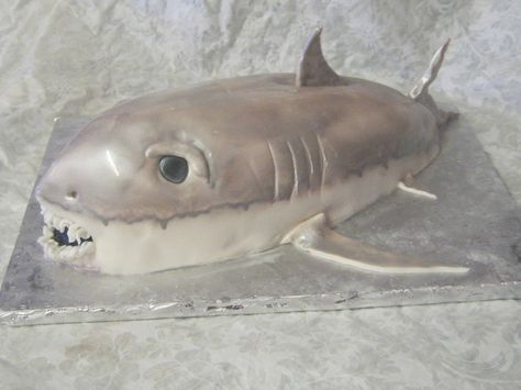 Call or text 972 262 1907 Fondant Shark, Shaped Cakes, Shark Cake, Fish Pet, Fondant, Fish, Cake, Animals