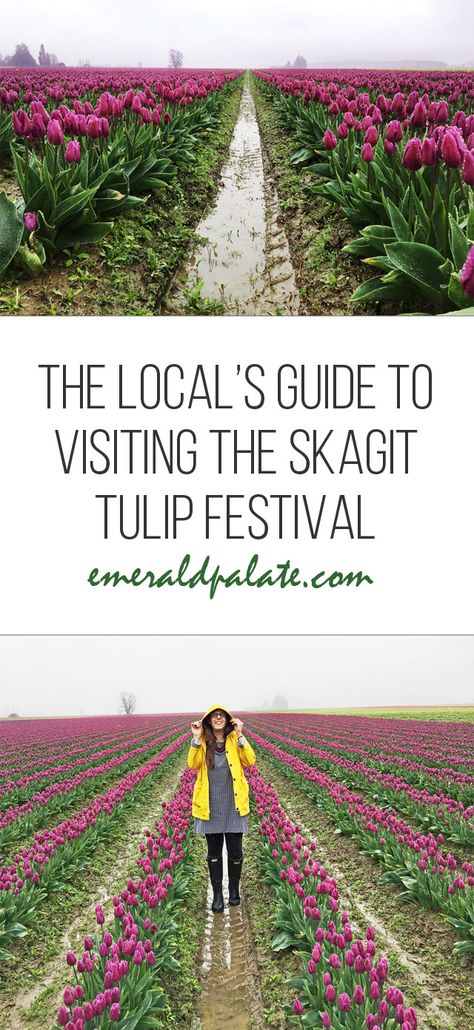 Tulip Festival Outfit Ideas, Tulip Field Outfit Ideas, Tulip Festival Outfit, Tulip Festival Washington, Skagit Valley Tulip Festival, Seattle Travel, Travel 2024, Festival Guide, Skagit Valley