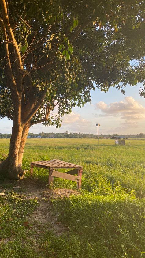 spent few hours at the paddy field in my hometown #studioghiblivibes Nature, Paddy Field Aesthetic, Kubo Wallpaper, Countryside Life Aesthetic, Paddy Field Photography, Indian Fields, Village Life Photography, Province Aesthetic, Village Life Aesthetic