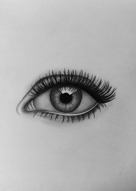 Cool Eye Drawings, Eyes Illustration, Pencil Photo, Art Anatomy, Eye Illustration, Eye Drawing Tutorials, Eye Sketch, Eyes Drawing, Black And White Art Drawing