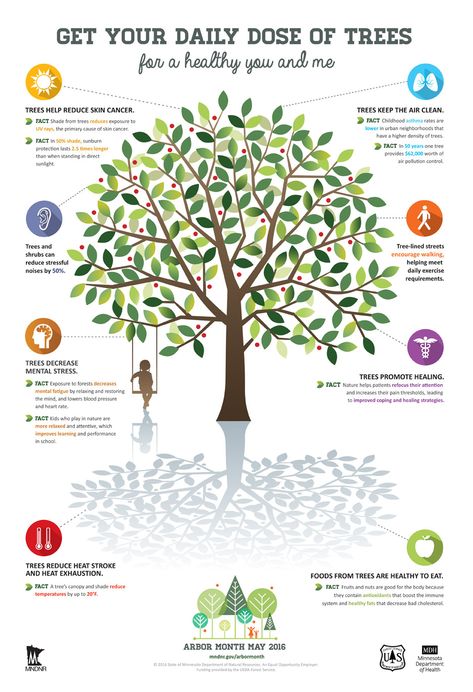 Arbor Month Celebration May 2016 Health Benefits of Trees Infographic Benefits Of Trees, Tree Facts, Infographic Poster, Arbour Day, Good Day Song, Entertainment Center Decor, Health Lessons, Goals And Objectives, Kids Diet