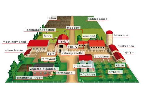 28 Farm Layout Design Ideas to Inspire Your Homestead Dream Farm Layout Design, Layout Design Ideas, Homestead Layout, Pasture Fencing, Greenhouse Vegetables, Farm Plans, Homestead Farm, Farm Layout, Garden Design Layout