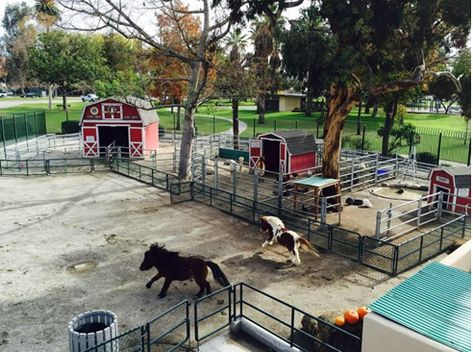 Parnell Park Storybook Zoo | Whittier, CA - Parks, Recreation and Community Services Small Farm Animal Pens, Petting Farm Layout, Small Petting Zoo Ideas, Petting Zoo Layout, Farm Petting Zoo Ideas, Petting Zoo Farm Aesthetic, Petting Zoo Animals, Animal Sanctuary Aesthetic, Petting Zoo Ideas