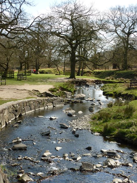 Bradgate Park, Leicestershire, I spent many happy days here as both a child and an adult. Could not be further from the deserts of Southern California where I live now! Pembrokeshire Coast National Park, Border Leicester Sheep, Bradgate Park, Ambleside Lake District, Filbert Street Leicester, Narborough Road Leicester, Familiar Places, Leicester England, Travel England