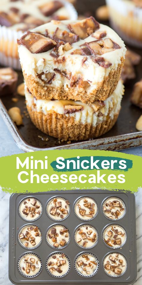 Snickers Cheesecake, Mini Cheesecake Recipes, The Cheesecake Factory, Bite Size Desserts, Feed A Crowd, Cheesecake Desserts, Easy Cheesecake, Cheesecake Bites, Mini Cheesecakes