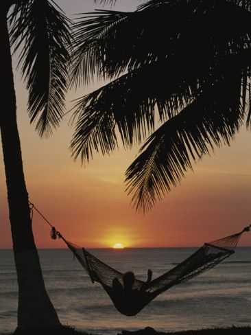 Sunset on Beach with Silhouetted Hammock and Palms, Costa Rica Photographic Print Hammock Aesthetic, Fire On The Beach, Sunset On Beach, Guanacaste Costa Rica, Beach Hammock, Romantic Life, Visit Costa Rica, Online Poster, Night Summer