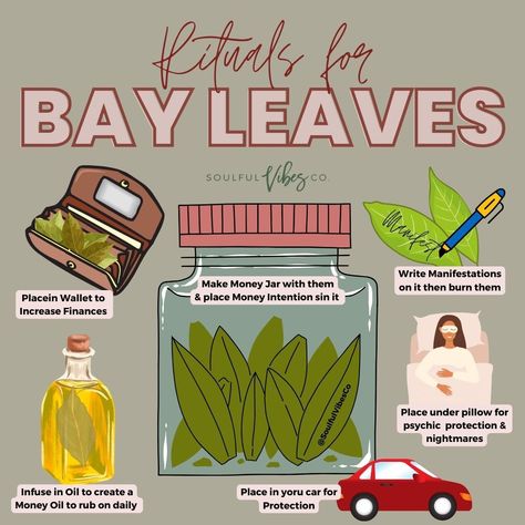 Witch Advice, Burn Bay Leaves, Burning Bay Leaves, Star Angel, Beginner Witch, Wiccan Rituals, Ooga Booga, Good Luck Spells, Magickal Herbs