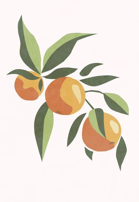 Orange Tree Branch, Fruit Wall Art, Soyut Sanat Tabloları, Gouache Art, Art Minimaliste, Orange Tree, Art Food, Fruit Art, Food Poster