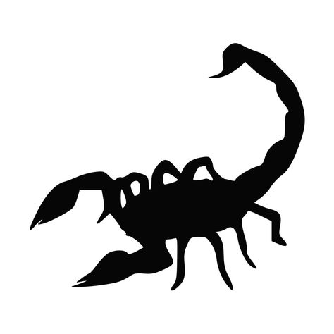 Scorpio Signs, Scorpion Tattoo, Scorpio Sign, Silhouette Stencil, Shadow Pictures, Scorpio Zodiac, Font Art, Popular Items, Scorpion