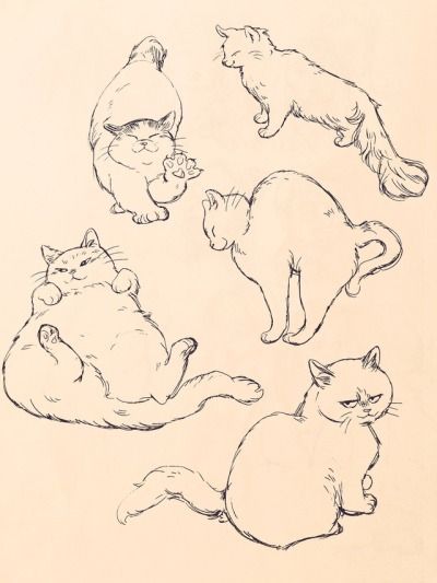 Bev Johnson, Cat Anatomy, Arte 8 Bits, Cat Sketch, Söt Katt, Cats Art, Arte Sketchbook, Arte Inspo, Sketchbook Art