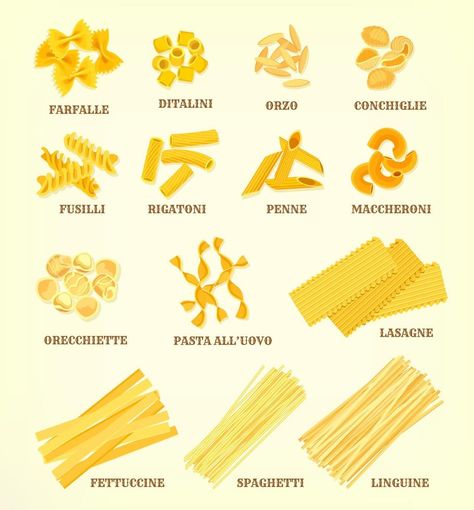 Italian pasta types or sorts vector icons Pasta Types, Easy Learning, Italian Pasta, Rigatoni, Linguine, Orzo, Art Clipart, Vector Icons, Pasta