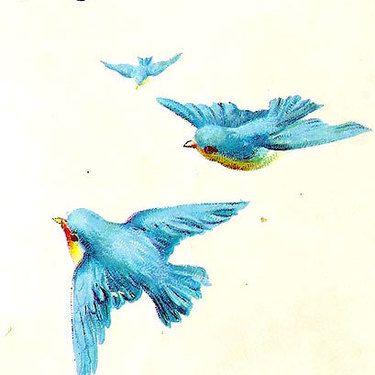 47 Cute Bluebird Tattoo Designs Bluebird Illustration, Blue Bird Illustration, Blue Bird Tattoo, Bluebird Cottage, Birds Theme, Bluebird Tattoo, Bluebird Of Happiness, Happiness Tattoo, Way To Happiness