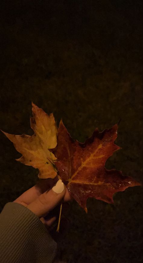 Autumn Romance, Crunchy Leaves, Aesthetic Dark Academia, Dark Academia Aesthetic, Academia Aesthetic, Autumn Cozy, Autumn Aesthetic, Fall Vibes, Dark Academia