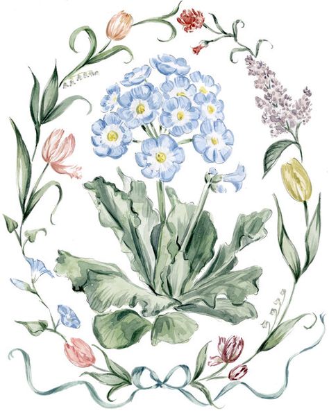 Riley Sheehey, Colors 2023, Illustration Ideas, Botanical Watercolor, Watercolor Flower, Flower Illustration, Floral Illustrations, Botanical Illustration, Botanical Art