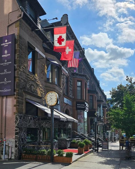 Beautiful Montreal ❤️🎶🍂🫀 I fall in love here 🥰🌹🧚‍♀️ #montreal #montreal_gallery #montreality #montrealcity #montrealfood #montreallife #montrealgirls #canada #aesthetic #naturelovers #natureaesthetic Montreal Canada Spring, Canada Lifestyle Aesthetic, Old Montreal Aesthetic, Montreal Quebec Canada, Montreal Aesthetic Summer, Montreal Canada Fall, Montreal November, Montreal Canada Summer, Montreal Canada Aesthetic