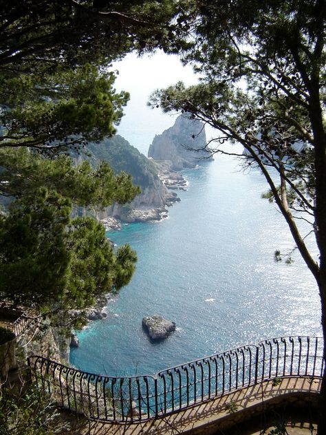 Capri Italia, Visiting Italy, Amalfi Coast Italy, The Amalfi Coast, Visit Italy, Italy Vacation, Vacation Places, Dream Vacation, Sorrento