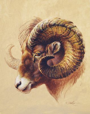 Aries The Ram Ezra Tucker Art, Ezra Tucker, Arte Aries, Animals With Horns, Ram Tattoo, Big Horn Sheep, Hunting Art, Sheep Art, Wildlife Paintings