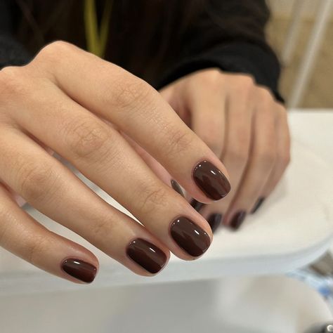 Autumnal Nails, Glue On Nails Short, Shellac Nail Colors, Nails Press Ons, Square Press On Nails, Brown Nail Polish, Boho Nails, Simple Fall Nails, Short Fake Nails