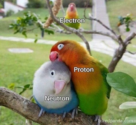 Chemistry Jokes, Nerd Jokes, Physics Jokes, Nerdy Jokes, Physics Humor, Physics Memes, Science Puns, Chemistry Humor, Bad Man