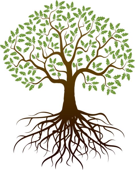 Tree And Roots Drawing | Free download best Tree And Roots Drawing on ClipArtMag.com Oak Tree Silhouette Tattoo, Oak Tree Pictures, Roots Illustration, Oak Tree Drawings, Oak Tree Silhouette, Tree Silhouette Tattoo, Tree Roots Tattoo, Pine Tattoo, Oak Tree Tattoo