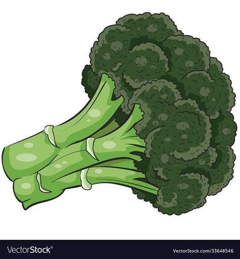 Broccoli Picture, Broccoli Image, Broccoli Cartoon, English Lessons For Kids, Illustration Cartoon, English Lessons, Cartoon Illustration, Kids Art Projects, Broccoli